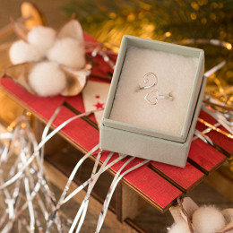 Addi 285-2 Ring S (52mm) - Kaart