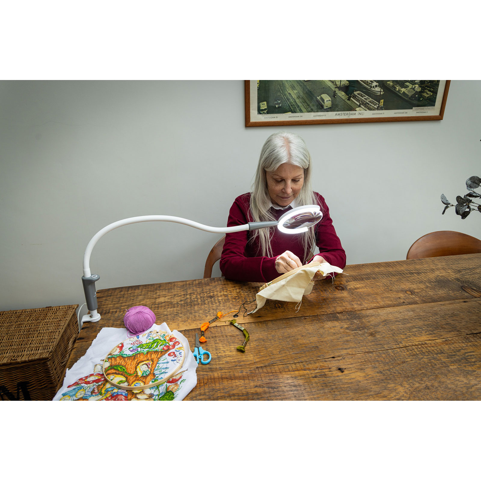 Daylight E25095 Magnificent Pro op klem
 - STUK