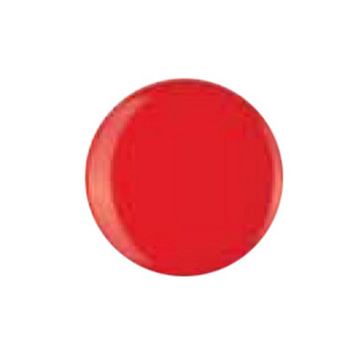 Dill 007.180212 Unigekleurde knopen achtersteek 13 mm - STUK