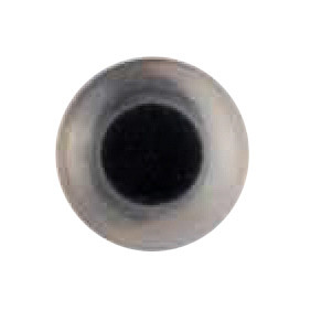 Dill 007.221473 Fashion knopen achtersteek 15 mm - STUK