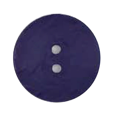 Dill 007.410111 Unigekleurde knopen 2 gaats 60 mm - STUK