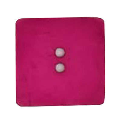 Dill 007.410122 Unigekleurde knopen 2 gaats 60 mm - STUK