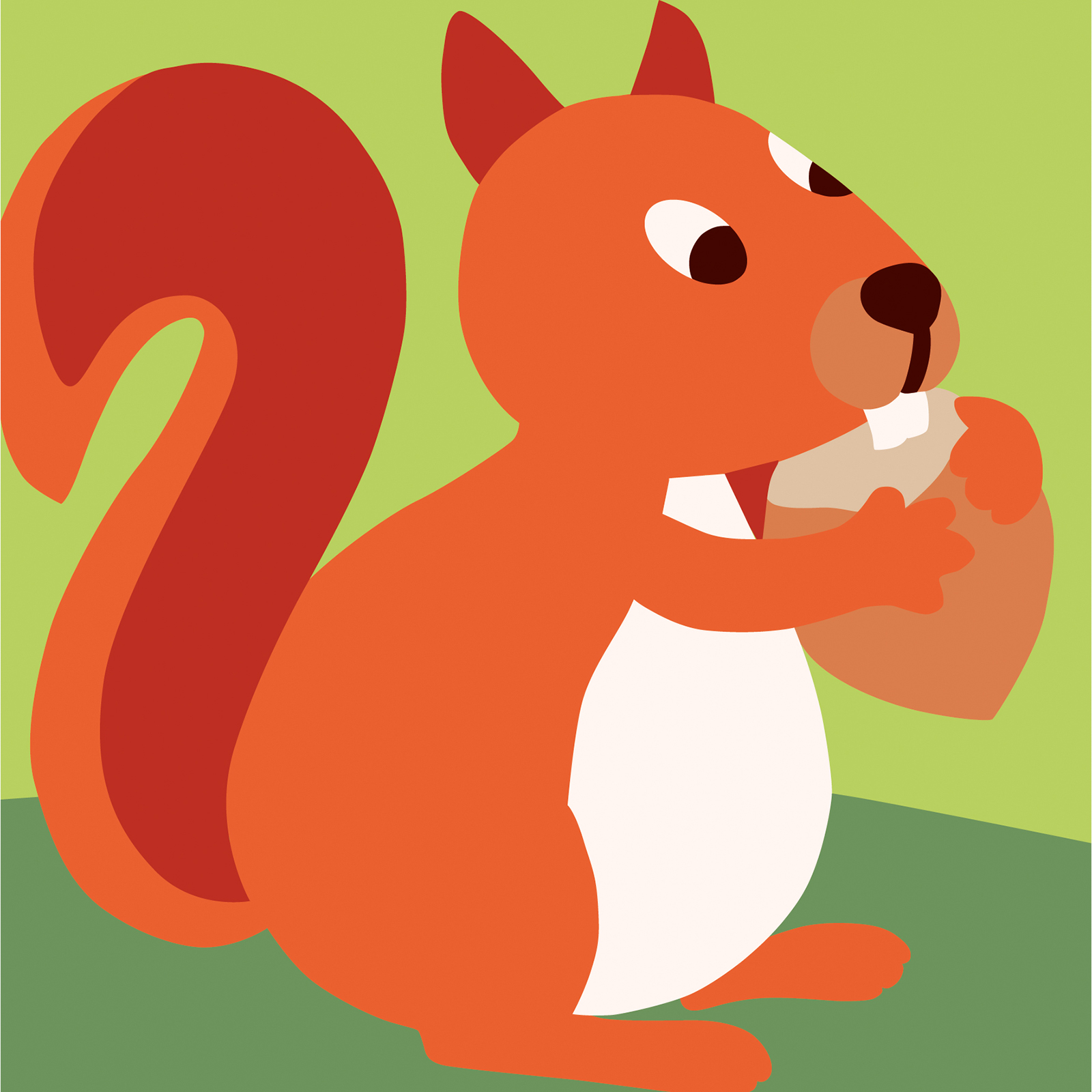 DMC C09N233K Borduurpakket- De Eekhoorn Canvas 15 x 15 cm - STUK