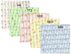 DMC DM222C Aïda iriserend 14 count borduurstof 5,5 kruisjes per cm - 5 mtr opmaak - Kleur 800