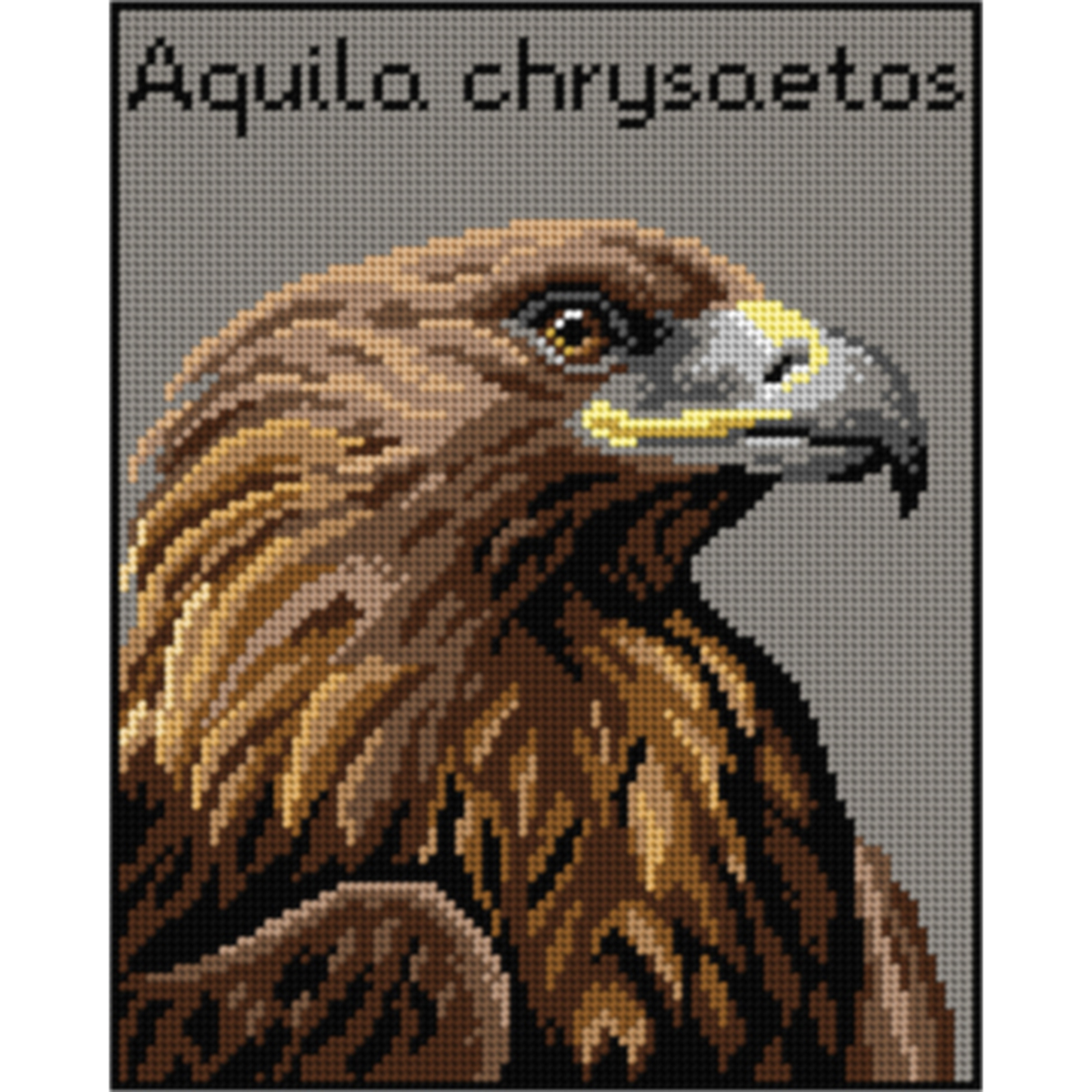 Orchidea 3011H Stramien voorbedrukt Golden Eagle 24 x 30 cm - STUK