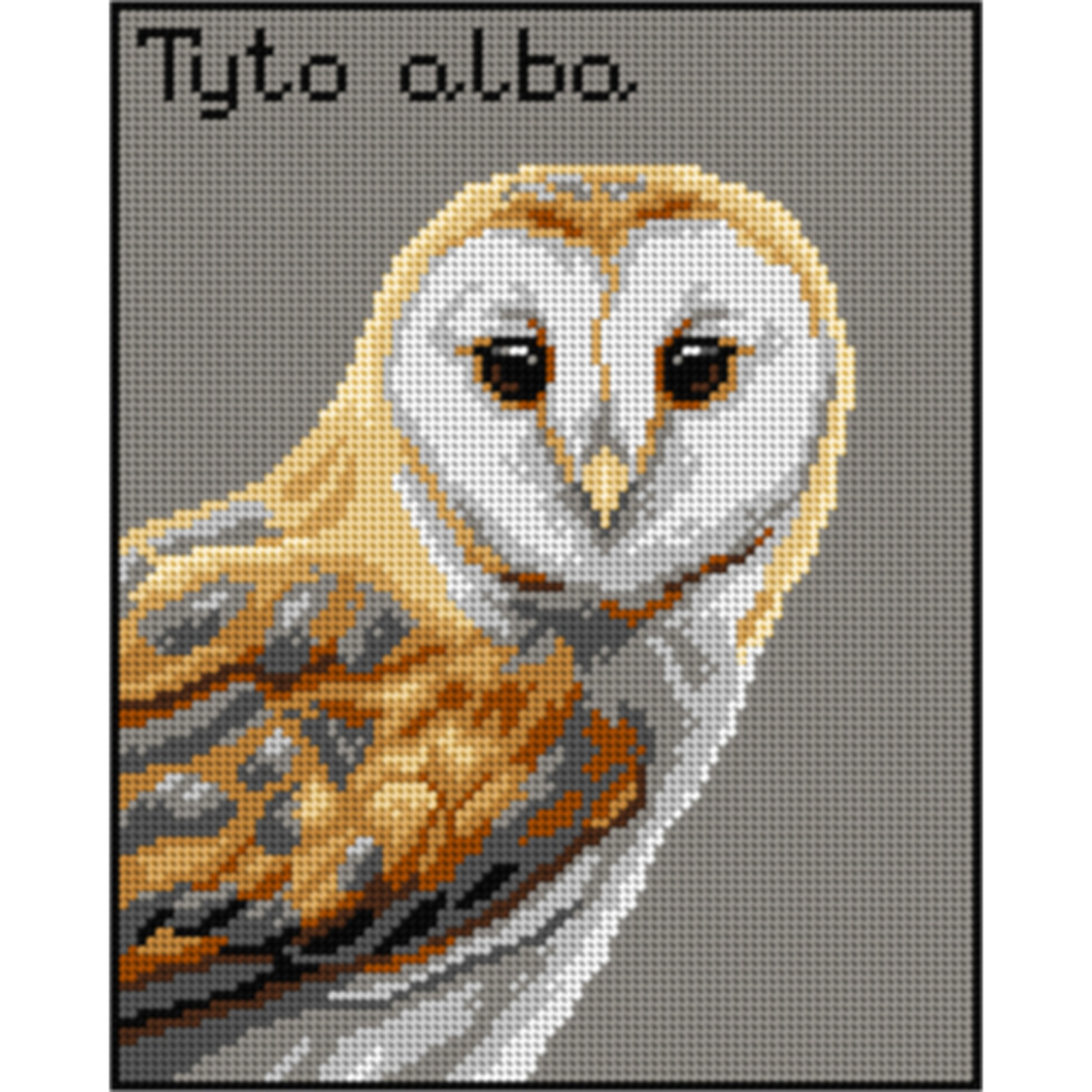 Orchidea 3014H Stramien voorbedrukt Kerkuil 24 x 30 cm - STUK