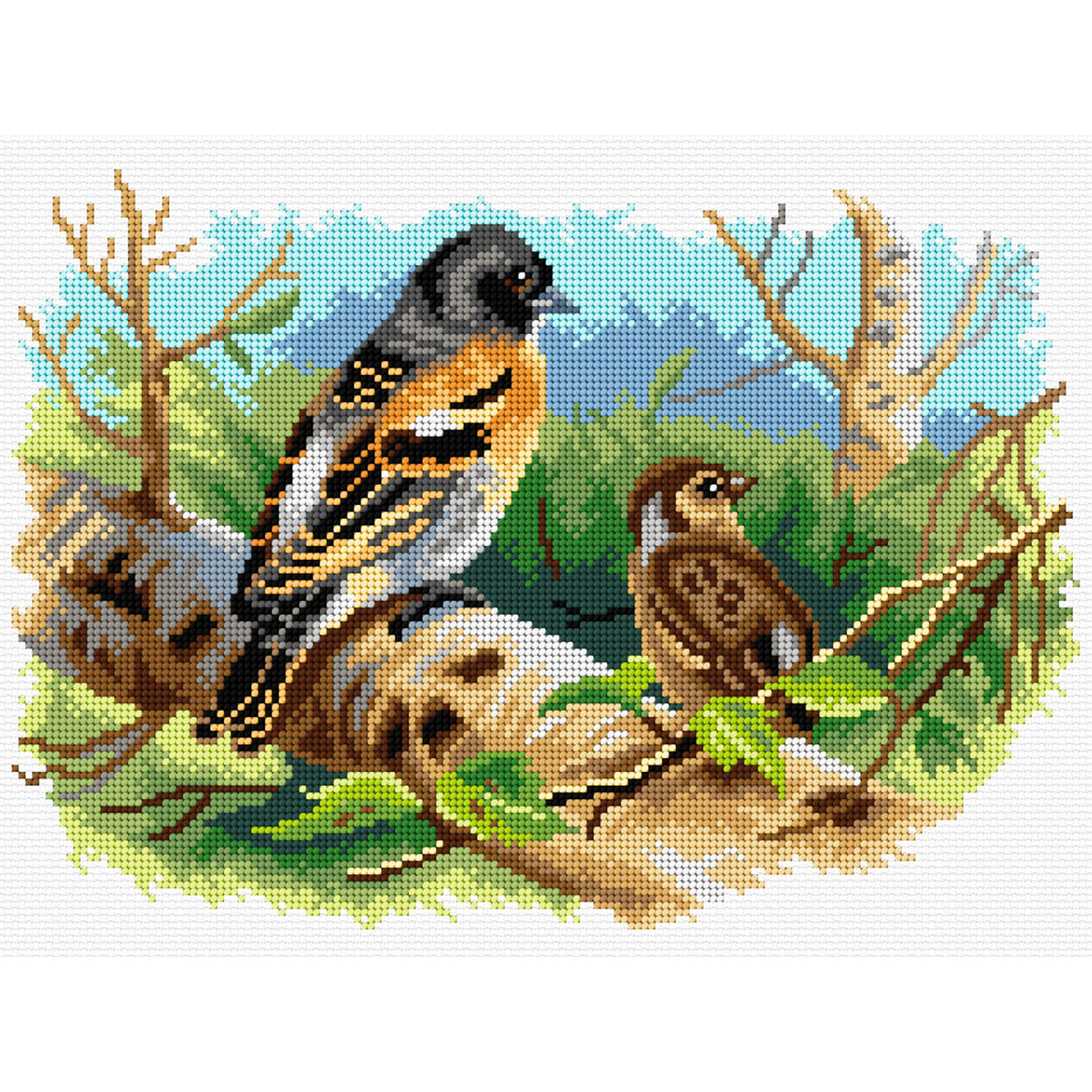 Orchidea 3065J Stramien voorbedrukt Birds of Bri - STUK