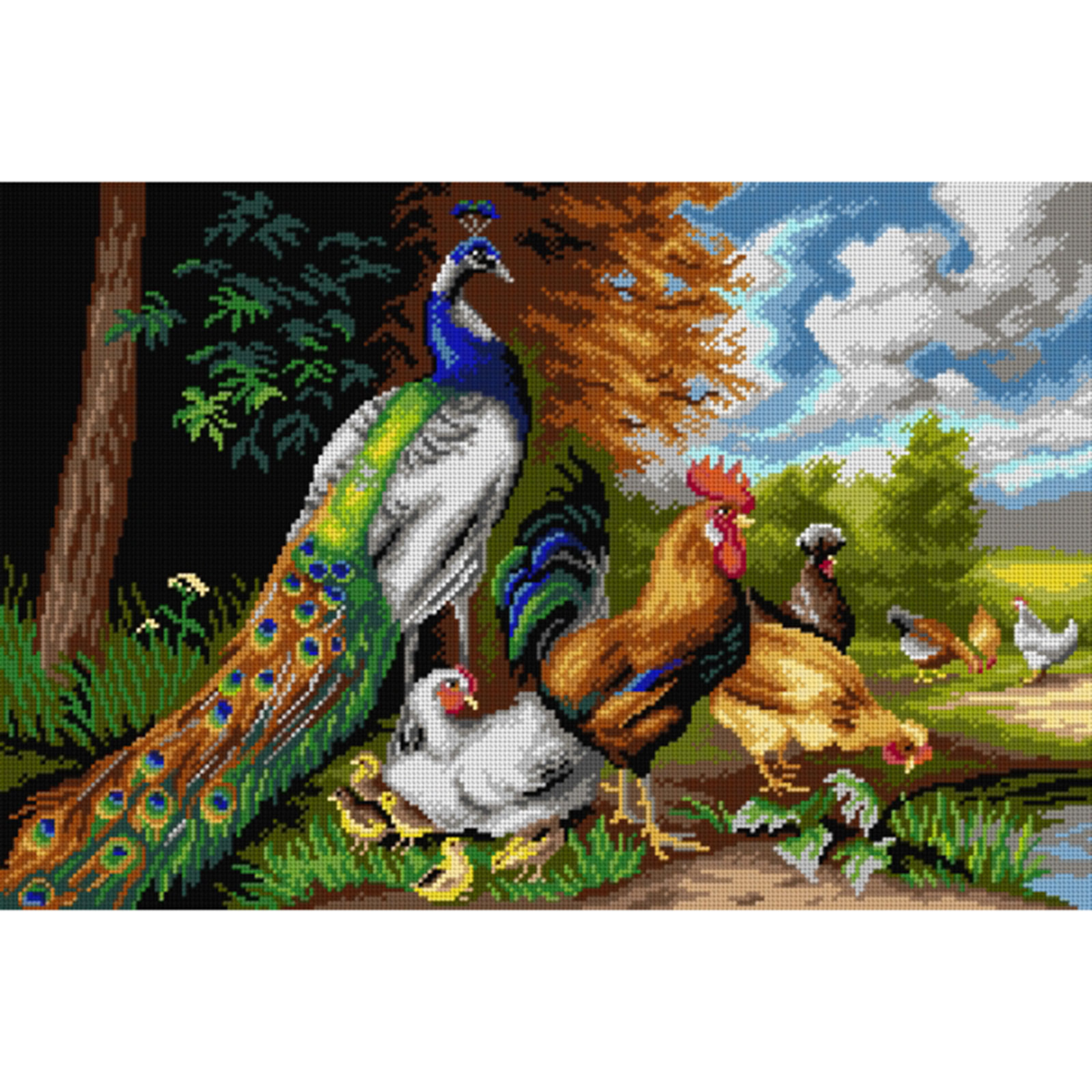 Orchidea 3216Q Stramien voorbedrukt Peacock 40 x 60 cm - STUK