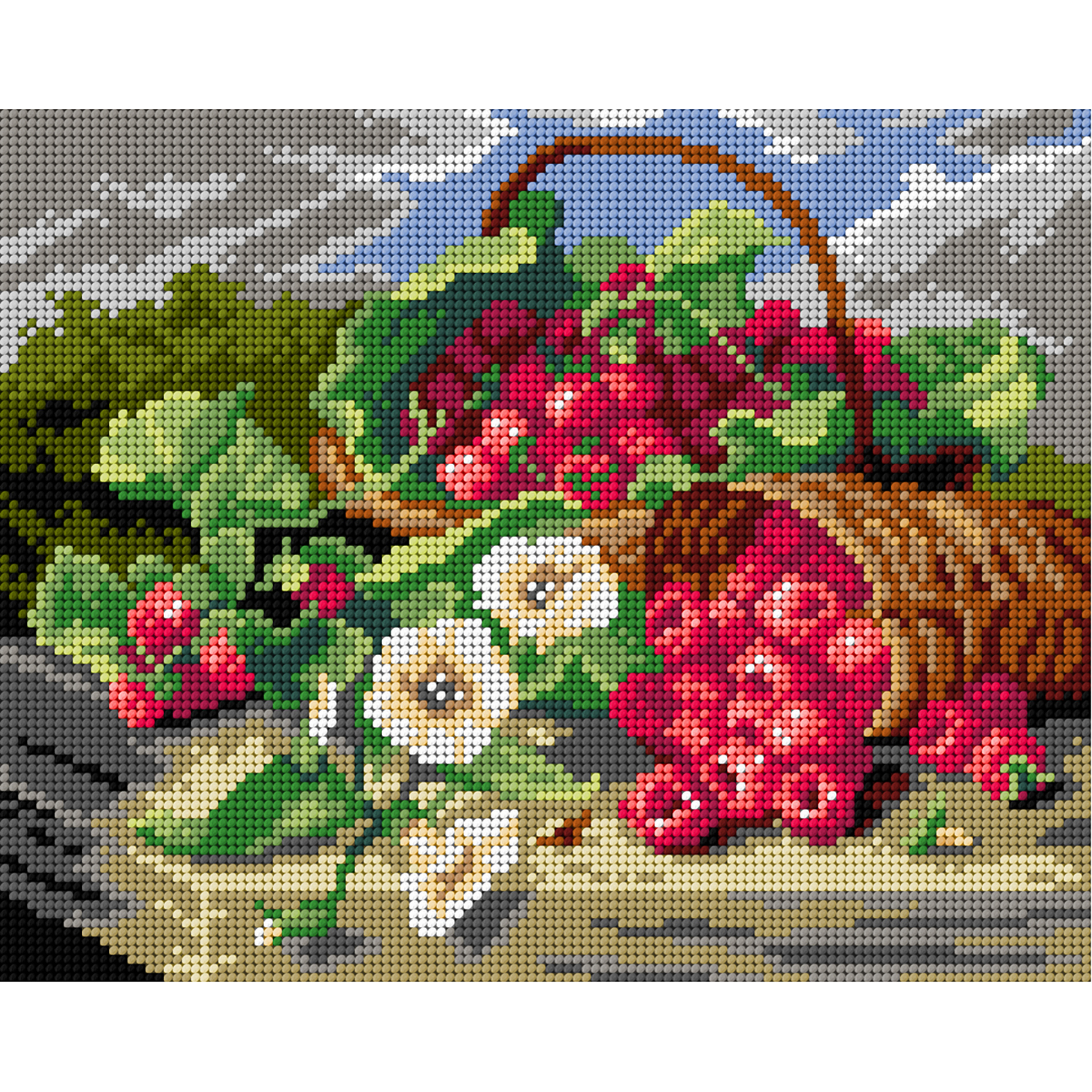 Orchidea 3503H naar Eloise Harriet Stannard - Stilleven met frambozen 24x30cm - STUK