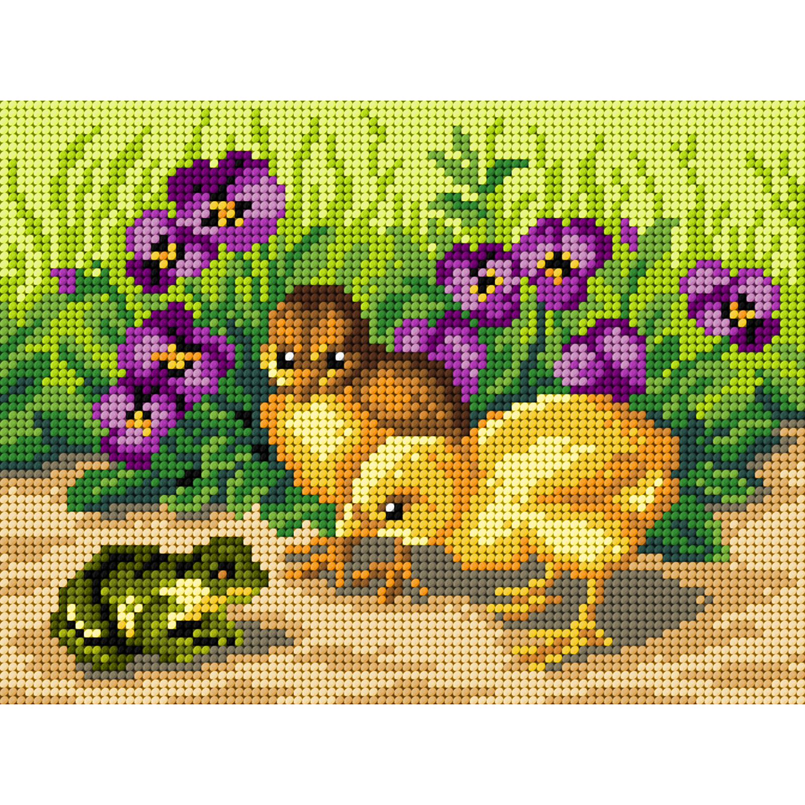 Orchidea 3519F Kippen en Kikker 18x24cm - STUK