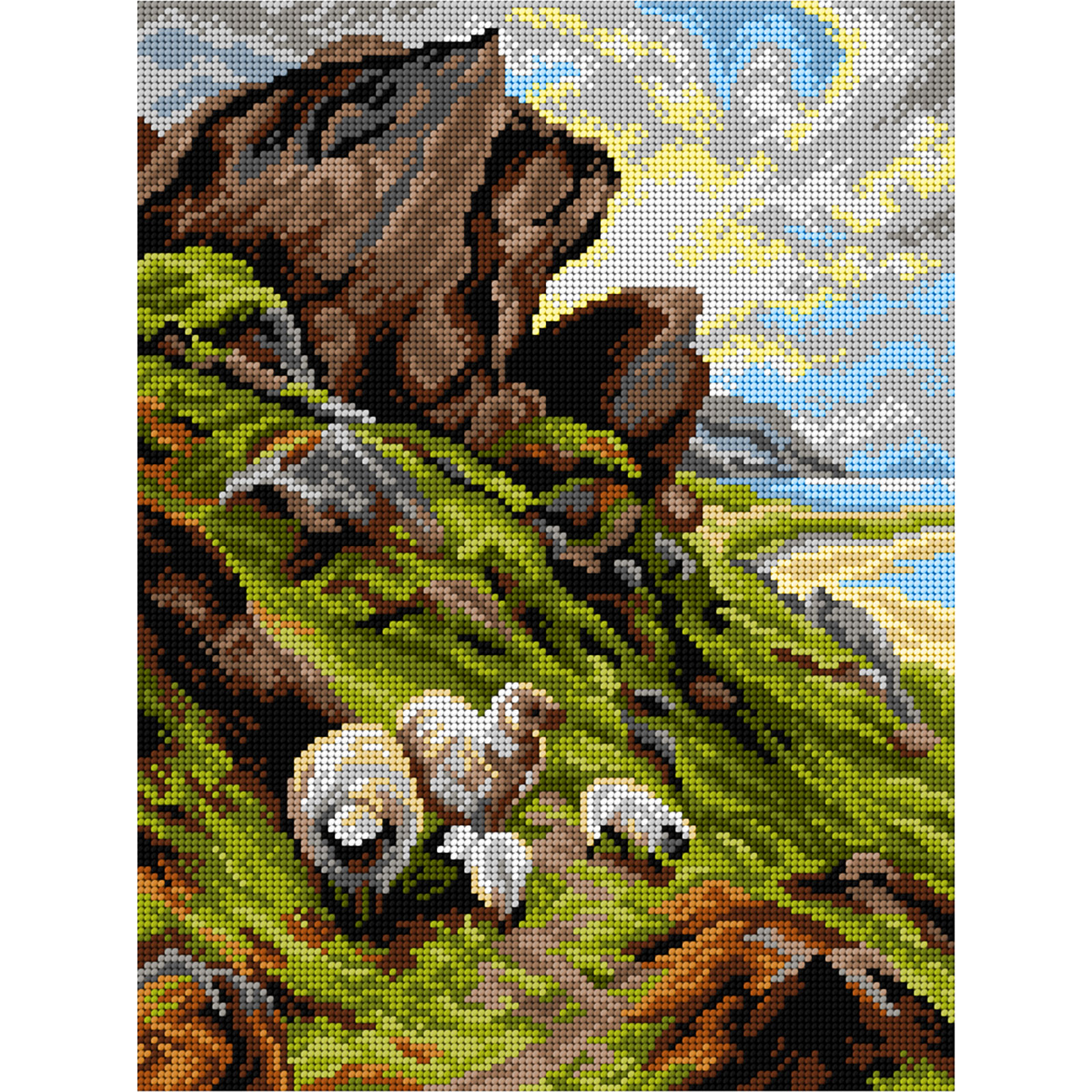 Orchidea canvas 3553J Ruige weide 30x40cm - STUK