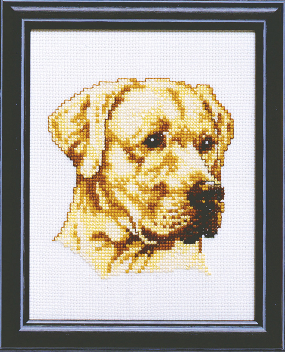 Pako 210.858 Borduurpakket telpatroon aïda Labrador 13x17cm - STUK