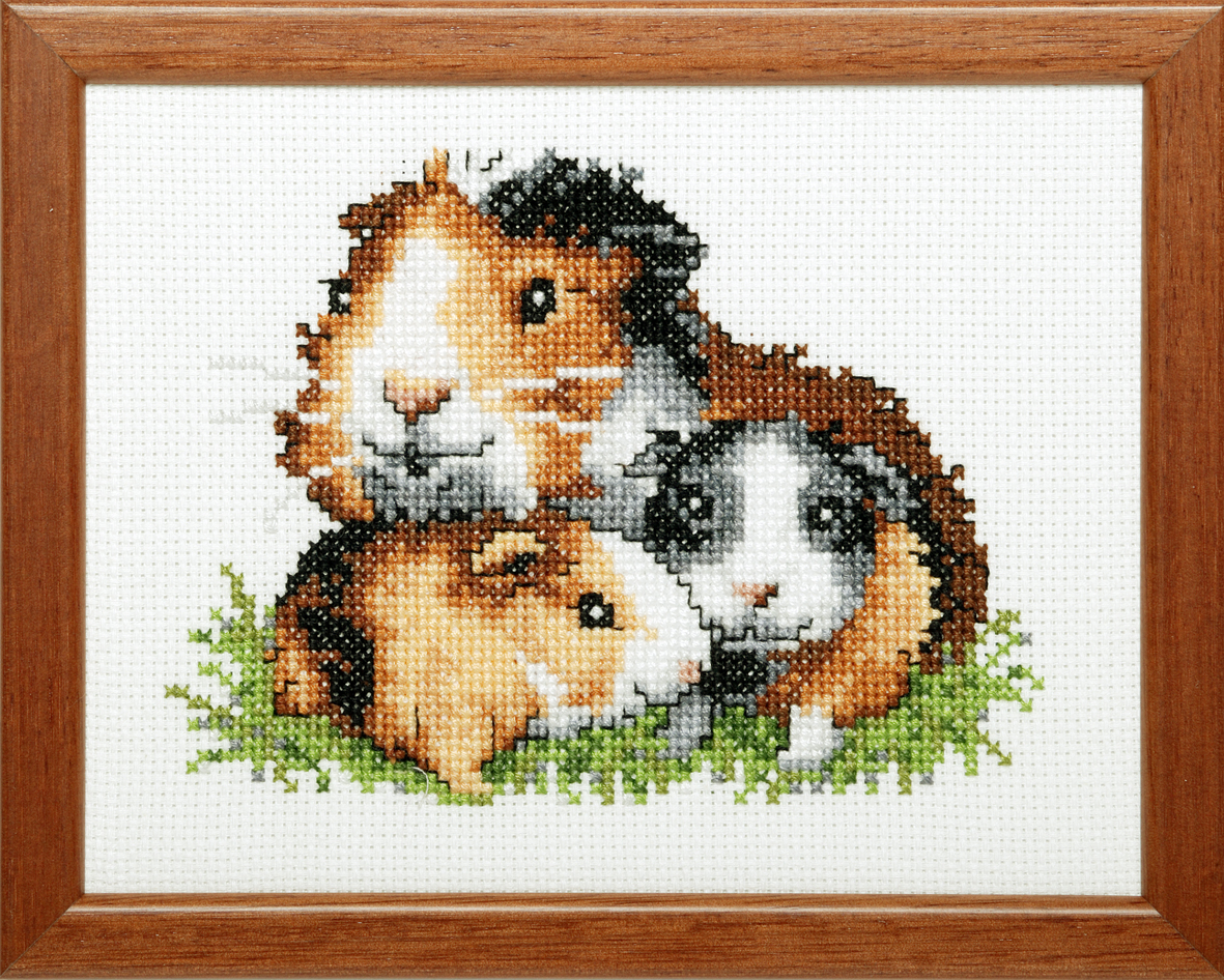 Pako 210.869 Borduurpakket telpatroon aïda Cavia's 13x17cm - STUK