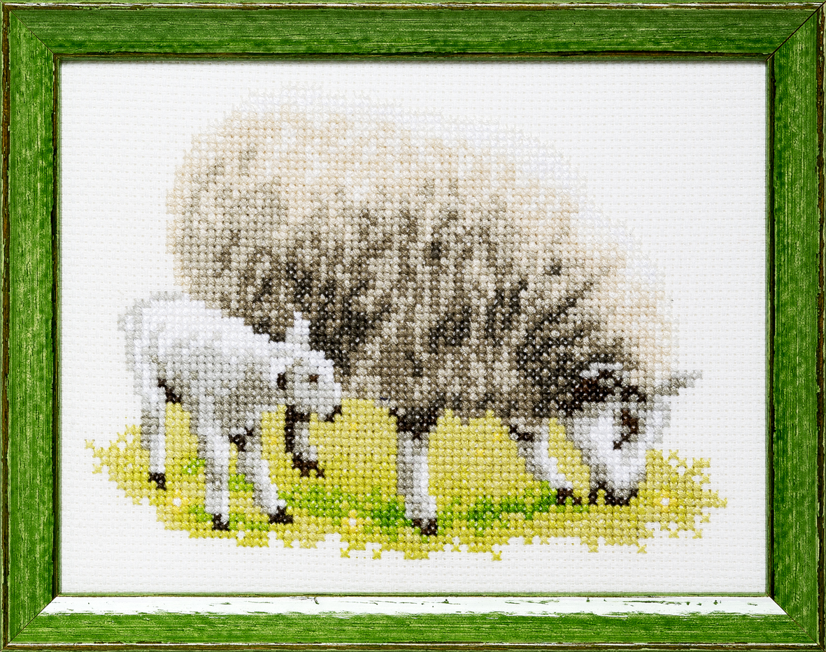 Pako 210.899 Borduurpakket telpatroon aïda Schaap 13x17cm - STUK