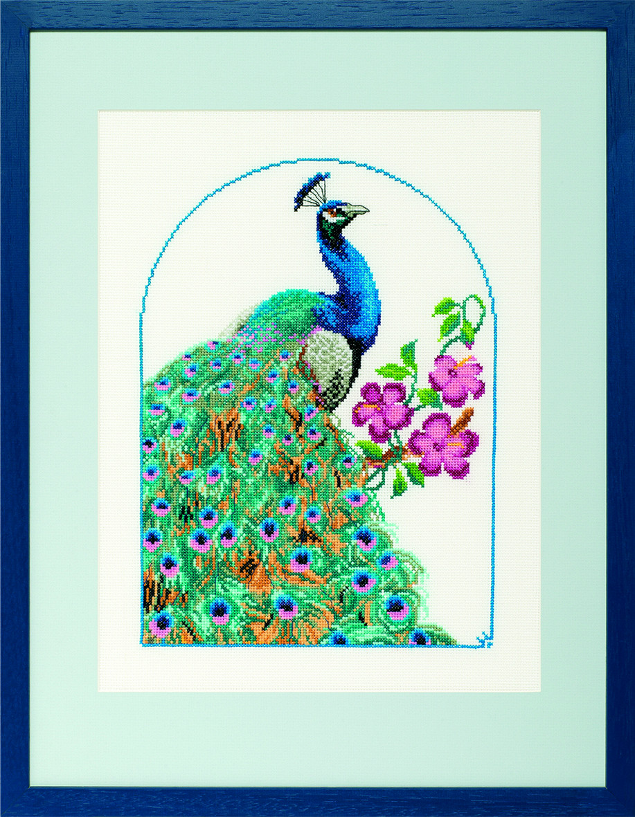 Pako 237.101 Borduurpakket telpatroon aïda Pauw  43 x 35 cm - STUK