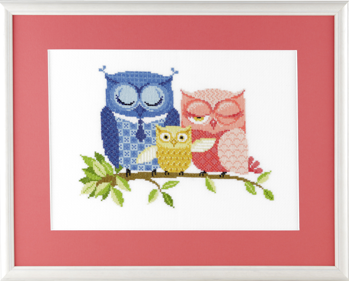 Pako 238.220 Borduurpakket telpatroon aïda Uilen 44 x 37 cm - STUK