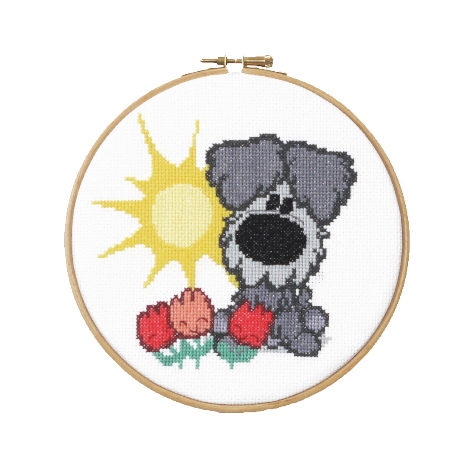 Pako 271.049 Borduurpakket telpatroon aïda Woezel 17 cm rond - PAKKET