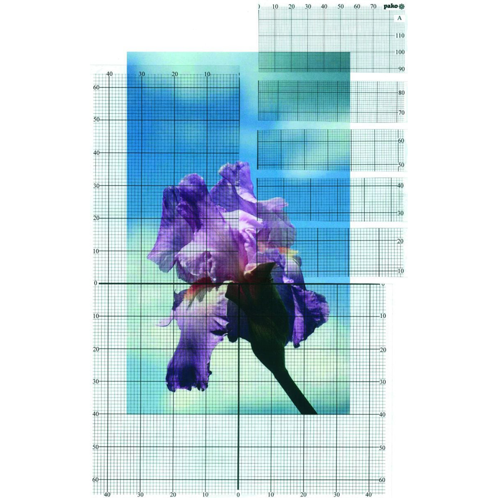 Pako 707.090 Transparante Rasters, 6 stuks  - STUK