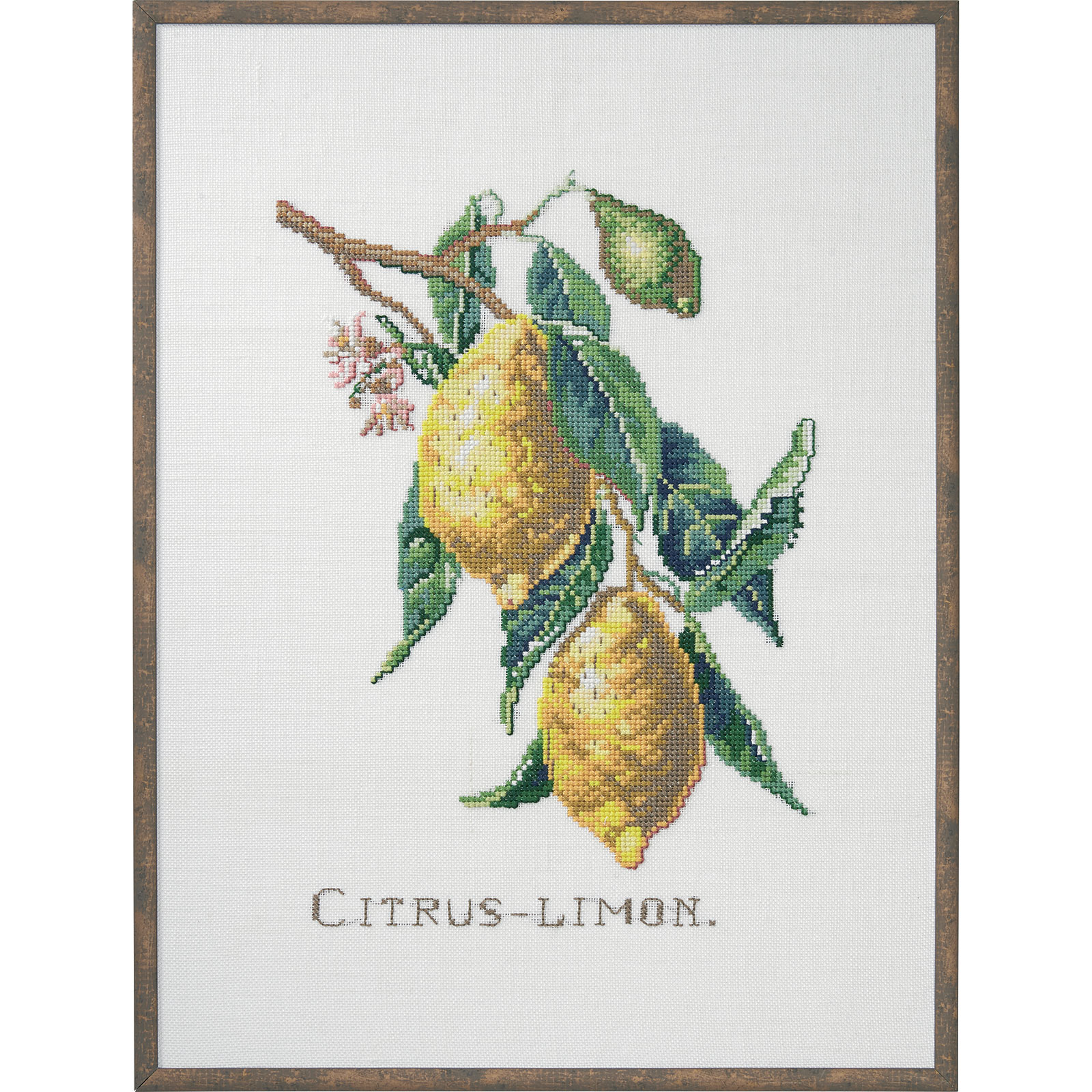 Permin 12-850 Borduurpakket Citrus-Limoen 29x39 cm - STUK