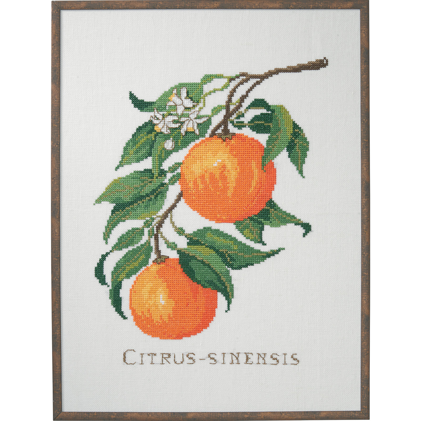 Permin 14-017 Borduurpakket Citrus-senensis 29x39 cm - STUK