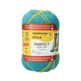 Regia 9801270 Design Line Color 4 draads 420 meter / 100 gram - Kleur 6820