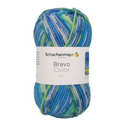Schachenmayr 9801421 Bravo Color 133 meter / 50 gram - Kleur 2080